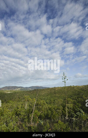 Nuova Caledonia, Nord-Ovest Grande Terre Isola, Poum, vista sulla Baie de Nehoue, mattina, Foto Stock