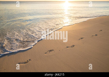 Impronte sulla spiaggia Foto Stock