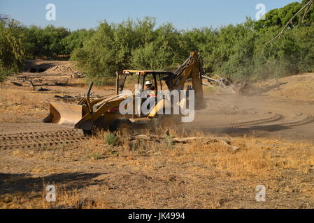 Un operatore di attrezzature pesanti si copre il viso per proteggersi dalla polvere disturbata durante un progetto di costruzione in Tucson, Arizona, Stati Uniti. La polvere in t Foto Stock