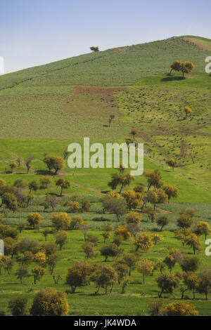 La Tunisia, nord della Tunisia, montagne Kroumirie, Beni Metir, paesaggio di montagna Foto Stock