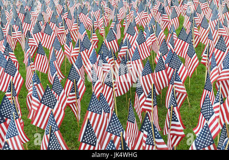 Bandierine americane piantate su un parco Prato Foto Stock