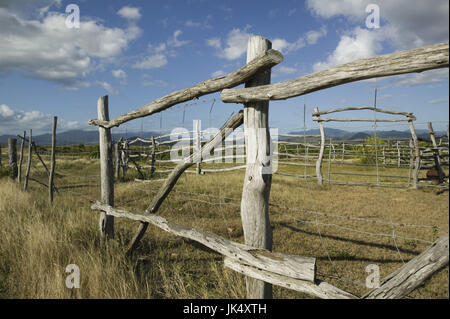 Nuova Caledonia, Nord-Ovest Grande Terre Isola, Kone Campo e recinzione, Foto Stock