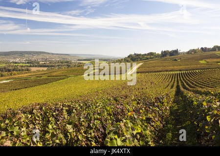 Francia, Marne, regione di Champagne, Montvoisin, vigneti Foto Stock