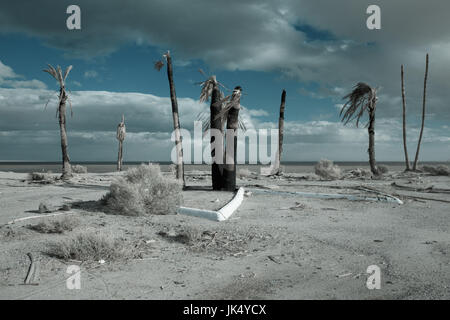 Stati Uniti, California, Salton City, città fantasma attorno al Salton Sea Foto Stock