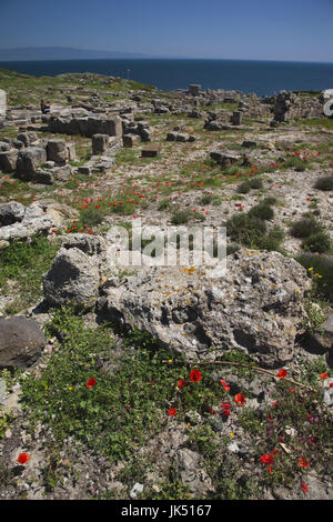 L'Italia, Sardegna, regione di Oristano, la penisola del Sinis, Tharros, rovine dell antica città fenicia Foto Stock