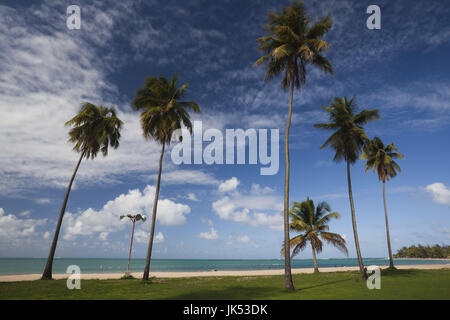 Puerto Rico, East Coast, Luquillo, Playa Luquillo Beach, palme Foto Stock