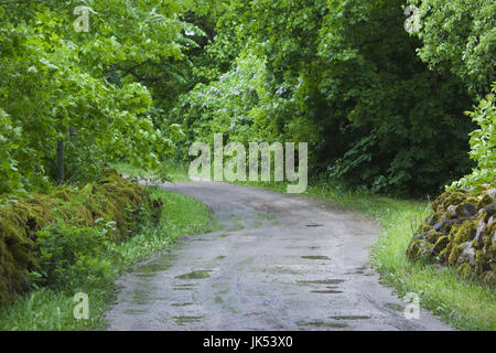 Estonia, Western Estonia isole, Muhu Island, Koguva, Muhu Open Air Museum, villaggio road Foto Stock