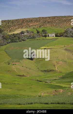 La Tunisia, nord della Tunisia, montagne Kroumirie, Beni Metir, paesaggio di montagna Foto Stock
