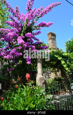 Villaggio costiero in Montenegro vantando porto pittoresco e colorato paesaggio Foto Stock