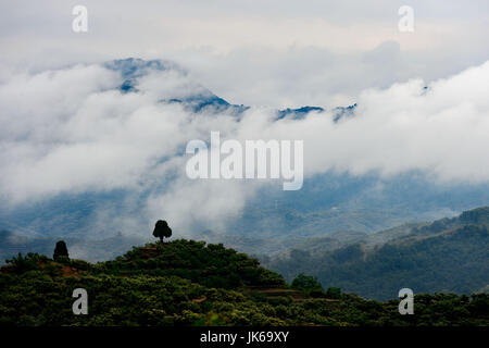 (170722) -- XINGTAI, luglio 22, 2017 (Xinhua) -- Fotografia scattata a luglio 22, 2017 mostra Taihang Mountain avvolta in nuvole in Luluo Township, Xingtai città del nord della Cina di nella provincia di Hebei. (Xinhua/Mu Yu) (lb) Foto Stock