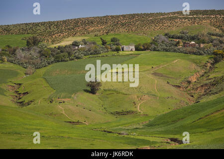 La Tunisia, nord della Tunisia, montagne Kroumirie, Beni Metir, paesaggio di montagna Foto Stock