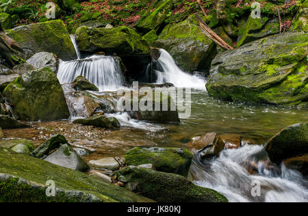 Piccole cascate sulla foresta fiume tra gli enormi massi coperti di muschio. Freschi e pulire la natura ambiente. sognante paesaggio dei Carpazi Foto Stock