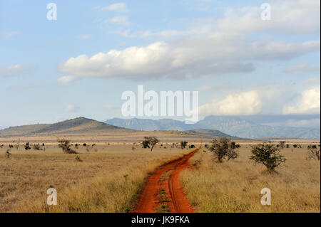 Savana paesaggio nel parco nazionale del Kenya, Africa Foto Stock