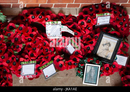 Francia, regione Piccardia, dipartimento della Somme, dai campi di battaglia della Somme, Villers-Bretonneux, Australian National War Memorial a soldati persi durante la Prima Guerra Mondiale, papaveri e fotografie Foto Stock