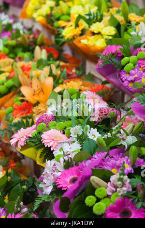 Francia, regione Nord - Pas de Calais, Nord reparto, le Fiandre francesi Area, Lille Wazemmes, mercato di domenica, fiori Foto Stock