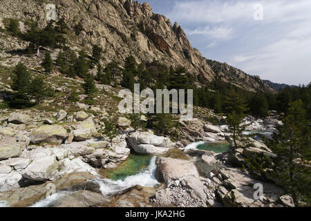 Francia, Corsica, Haute-Corse reparto centrale Monti Regione, Corte-zona, Gorges de la restonica, fiume Restonica Foto Stock