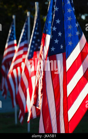 Stati Uniti d'America, Arkansas, Heber Springs, Stati Uniti d'America bandiere Foto Stock