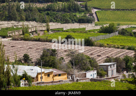 Il Cile, Valle Elqui, Rivadavia, vista valle con frutteti Foto Stock