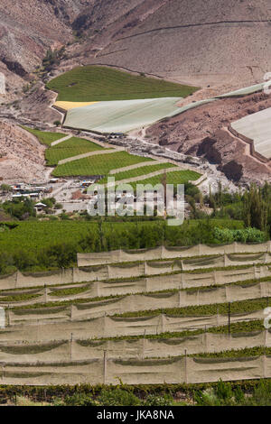 Il Cile, Valle Elqui, Rivadavia, vista valle con frutteti Foto Stock