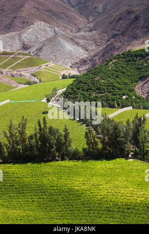 Il Cile, Valle Elqui, Rivadavia, vista valle con frutteti Foto Stock