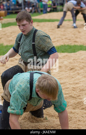 Festival Schwing Swiss Wrestling Foto Stock