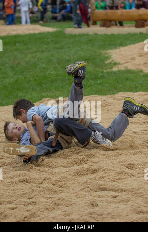 Festival Schwing Swiss Wrestling Foto Stock