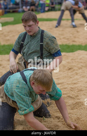 Festival Schwing Swiss Wrestling Foto Stock