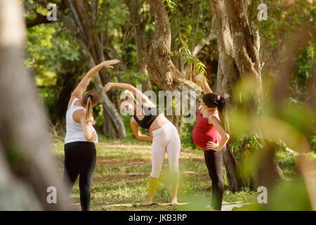 Le donne in stato di gravidanza, gruppo di mamme di allenamento con esercizi per il fitness e lo yoga durante la gravidanza. Lezione prenatale nel parco con personal trainer. Foto Stock