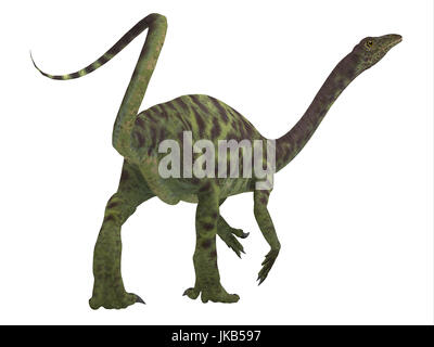 Anchisaurus era un onnivoro prosauropod dinosaur che visse nel Giurassico periodi di Nord America, Europa e Africa. Foto Stock