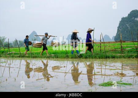 Ngoc con campo appartiene a Trung Khanh, Cao Bang provincia Foto Stock