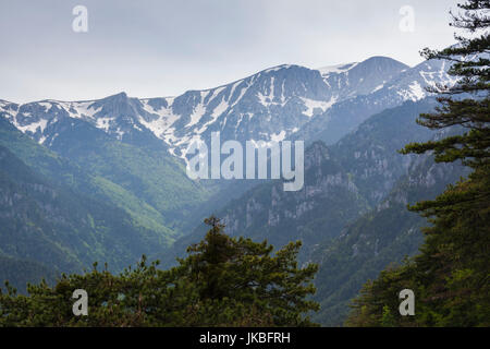 La Grecia e la Macedonia centrale regione, Litohoro, Monte Olimpo, visto dal monte Olimpo auto road Foto Stock