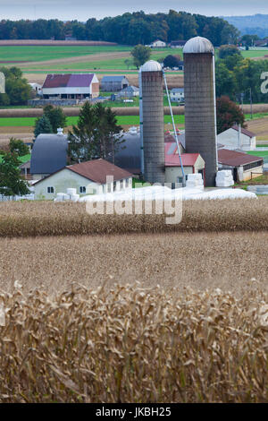 Stati Uniti d'America, Pennsylvania, New Holland, elevati vista di fattoria Foto Stock