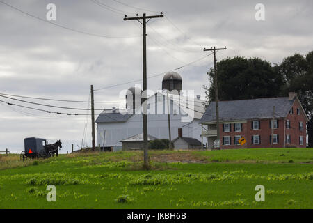 Stati Uniti d'America, Pennsylvania, Pennsylvania Dutch Country, Paradise, Amish cavallo e buggy su Paradise Lane Foto Stock