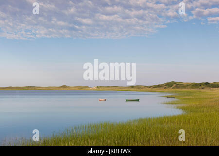 Stati Uniti d'America, Massachusetts, Cape Cod, Wellfleet, vista dell'intestino mediante la grande isola, mattina Foto Stock