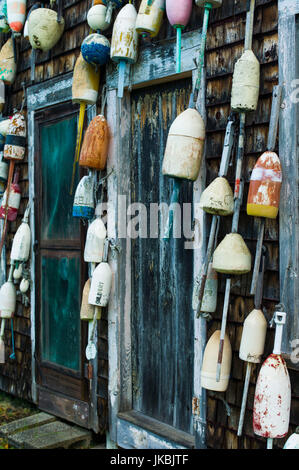 Stati Uniti d'America, Maine, Pemaquid Point, Astice boe Foto Stock