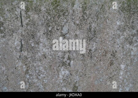 La texture di sfondo, naturali venature di resistenza agli agenti atmosferici Foto Stock