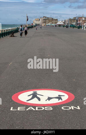 Segno di avvertimento ai proprietari di cani per tenere i loro cani al guinzaglio. Dipinto sul percorso vicino alla costa a Brighton, Inghilterra. Foto Stock