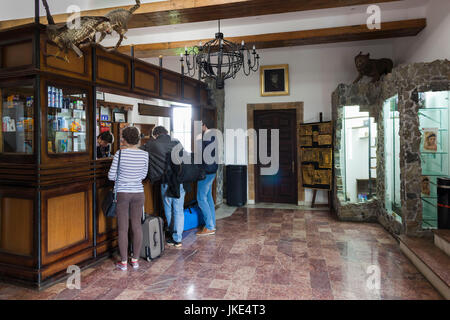 La Romania, Transilvania, Tihuta Pass, Hotel Castel Dracula, interno, lobby Foto Stock