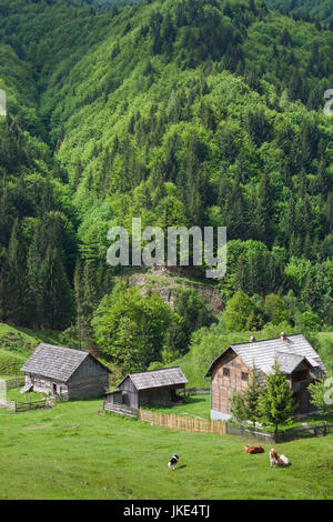 La Romania, Transilvania, Tihuta Pass, edifici di montagna del pass noto anche come il borgo passa nel romanzo Dracula Foto Stock