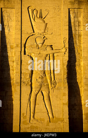 Aegypten ha, (Edfu Idfu), Horustempel, Rilievo des Hauptgottes des Tempels Hor-Behdeti (Horus von Edfu) am östlichen Pylonenturm Foto Stock