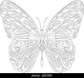 Disegnato a mano zentangle butterfly lo stile per il libro da colorare, shirt design o tatuaggio Illustrazione Vettoriale