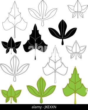 Collezione sagome di foglie. Semplice foglia di immagini. Lascia impostare isolato. Illustrazione Vettoriale