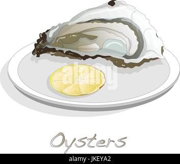 Aperto fresco oyster set di immagini Illustrazione Vettoriale