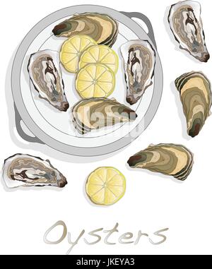 Aperto fresco oyster set di immagini Illustrazione Vettoriale