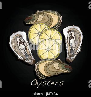 Aperto fresco oyster set di immagini Illustrazione Vettoriale