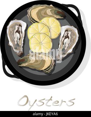 Aperto fresco oyster set di immagini Illustrazione Vettoriale