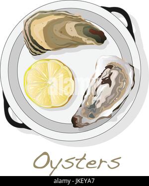 Aperto fresco oyster set di immagini Illustrazione Vettoriale