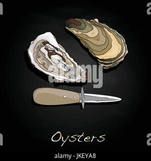 Aperto fresco oyster set di immagini Illustrazione Vettoriale