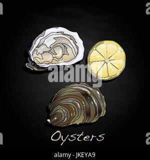 Aperto fresco oyster set di immagini Illustrazione Vettoriale