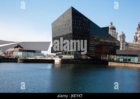 Moderni edifici per uffici Mann isola vicino al Museo di Liverpool vita Canning Dock Liverpool Waterfront Liverpool England Foto Stock